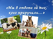 Мы в ответе за тех кого приручили